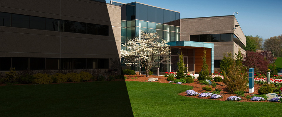 Corona Del Mar Landscapers