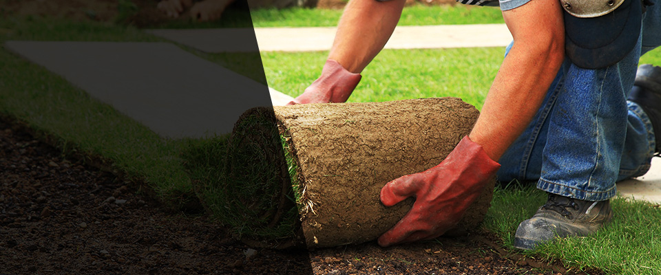 Corona Del Mar Landscapers